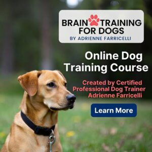 Brain Training for Dogs
