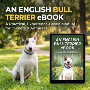 An English Bull Terrier eBook